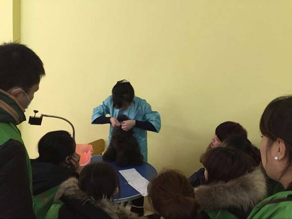 1451442761646546.jpg QQ图片20151228150036.jpg