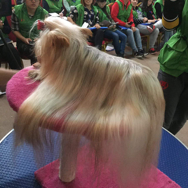 1452305981690411.jpg 3.jpg