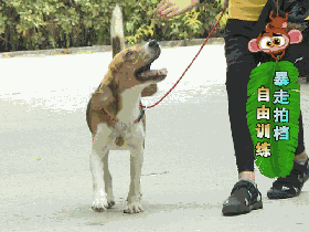 1477014856831988.gif 4.gif