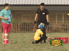 1477014949174377.gif