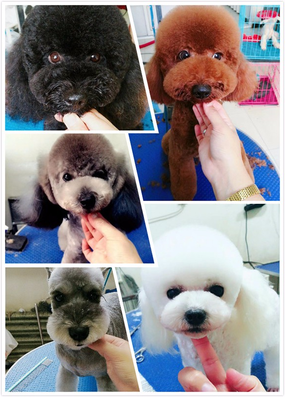 1535534310376152.jpg 未命名_meitu_4.jpg