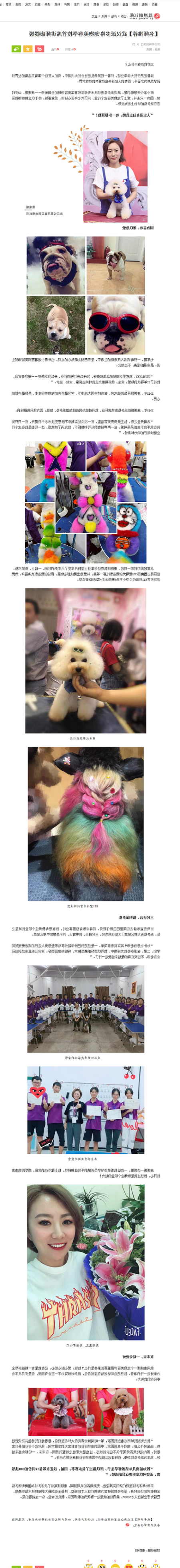 【名师推荐】武汉派多格宠物美容学校首席讲师康媛媛_江苏频道_凤凰网_副本.png